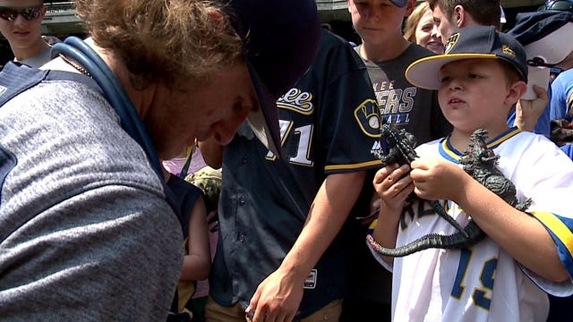 'Godzilla powers:' Boy sends Milwaukee Brewers Godzilla figures to bring good luck