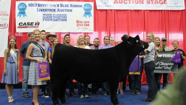 Governor's Blue Ribbon Livestock Auction: 1,377-pound Grand Champion Steer goes for $50K