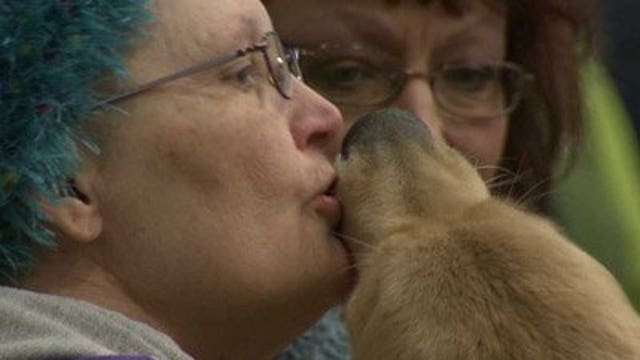 Showing dogs motivates woman fighting cancer