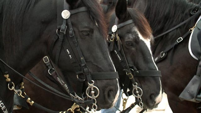 Ground broken for MKE Urban Stables, combining mounted patrol, equine therapy