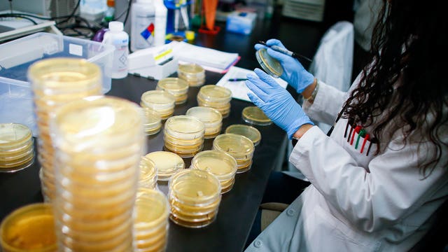 State of emergency: Washington state man 1st in US to die from coronavirus