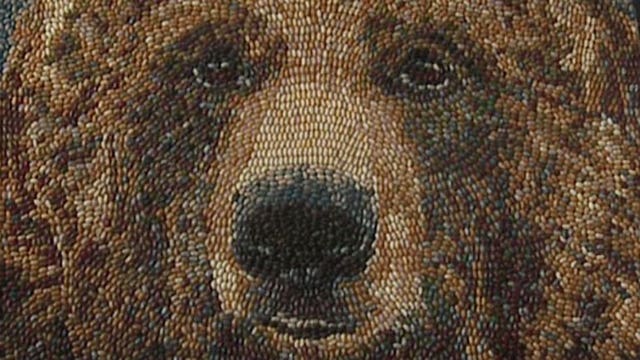 Wisconsin State Fair artist features beautiful works made from... jelly beans?