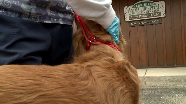 'Minimum contact with the client:' Dousman animal hospital institutes 'no people policy' due to COVID-19