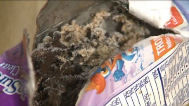 Juice boxes filled with...mold?! How you can protect your family