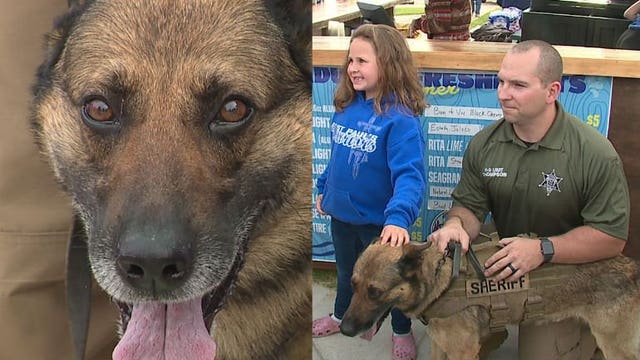 Waukesha County K-9 Justice enjoys special meet and greet after stabbing