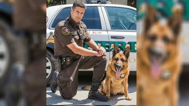 "Klaus will be missed:" Kenosha County Sheriff's Department sad to announce death of K9 'Klaus'