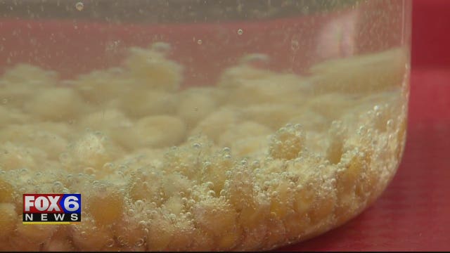 Popcorn is not only a tasty snack, it's a science experiment waiting to happen