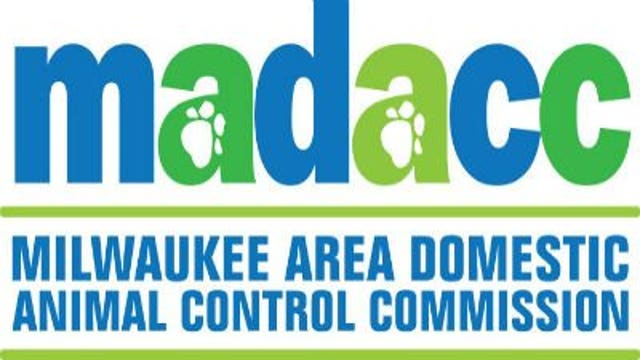 MADACC announces new Twitter account to help locate lost animals