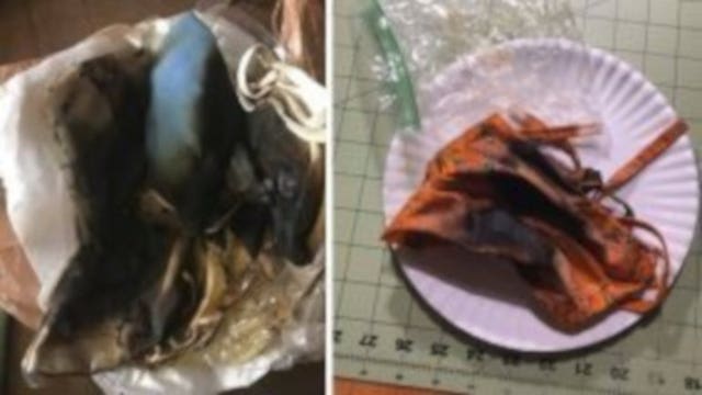 'Extremely bad idea:' Fire marshal warns people not to microwave masks in attempt to kill germs