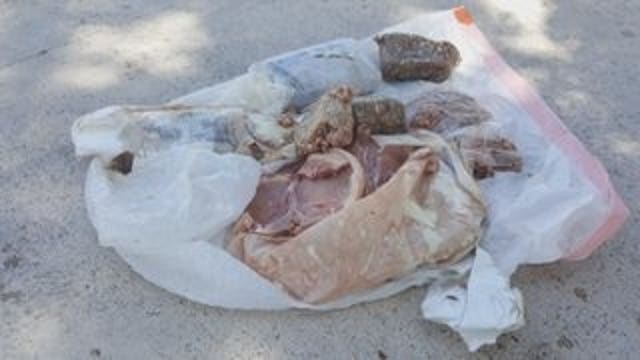Weird Florida mystery: 15 pounds of frozen sausage lands on home; "It had to fall from the sky"