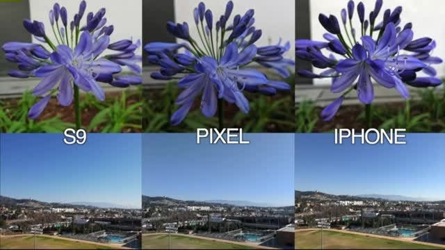 Cameras compared: Samsung Galaxy S9 vs iPhone X vs Pixel 2