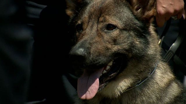 Milwaukee police swear in newest K-9 officer "Nando"