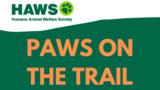 Friends’ of HAWS annual Romp 'N Rally pet walk, fundraiser postponed until August