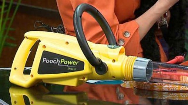 Best products for your pet