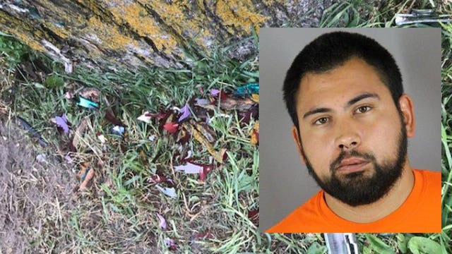 Prosecutors: Man said he 'fell asleep' before crashing into tree, killing son after celebrating his birthday