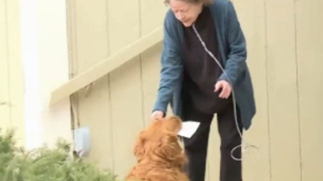'It was wonderful:' Dog picks up grocery list from housebound neighbor, delivers her groceries
