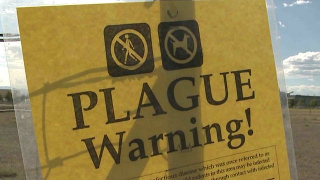 Officials: Colorado sees 1st human plague case since 2015