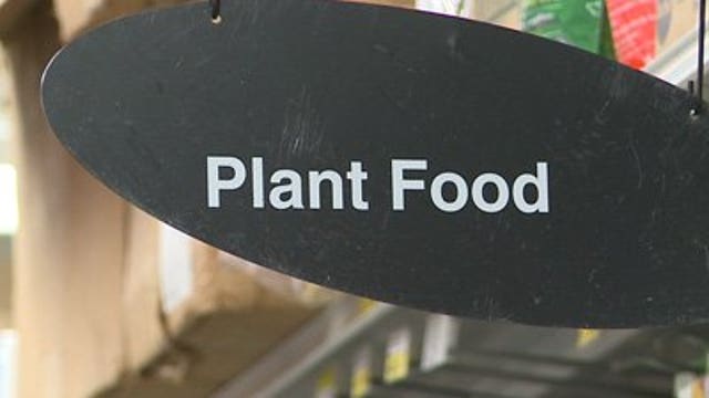 Mild weather has plants sprouting, how to protect them