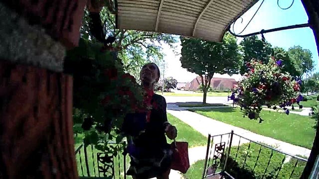 Woman caught on camera stealing hanging plants from porch on Milwaukee's north side