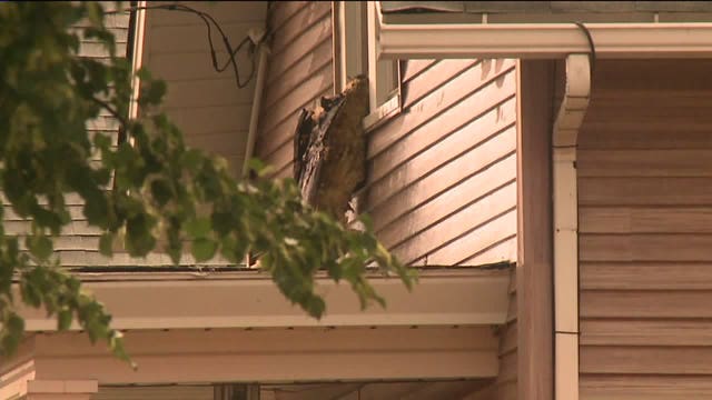 Officials confirm fire at Port Washington home was result of lightning strike during storms