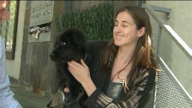 Virtual Doggie Bed and Breakfast