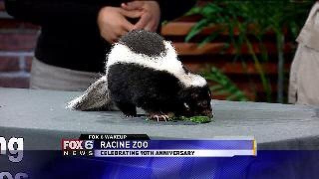 Racine Zoo visits Wake Up