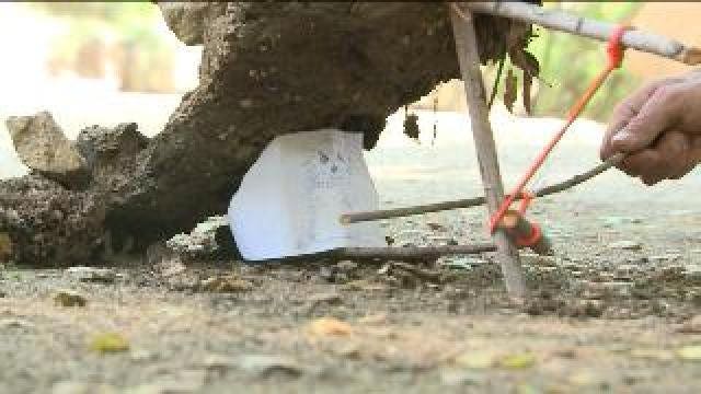 Gadgets that can save your life in case of an emergency