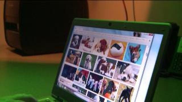 Anti-spy software options limit online exposure