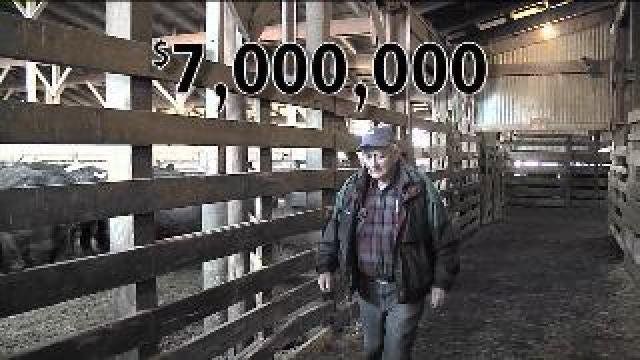 Contact 6: Man loses $100K in investment scam