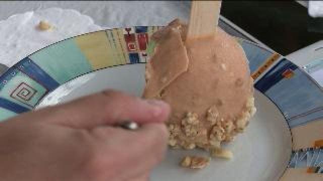 Wisconsin State Fair "Sporkies" food competition names winner