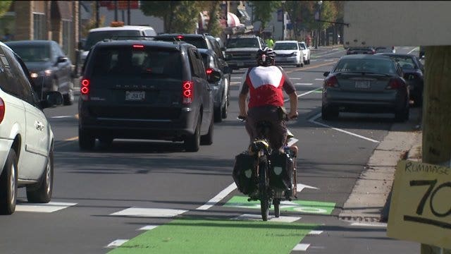 What are those green things painted on North Ave. in Wauwatosa?