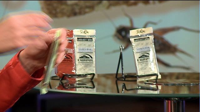 Looking for a pick-me-up? Registered dietitian briefs us on bug bars