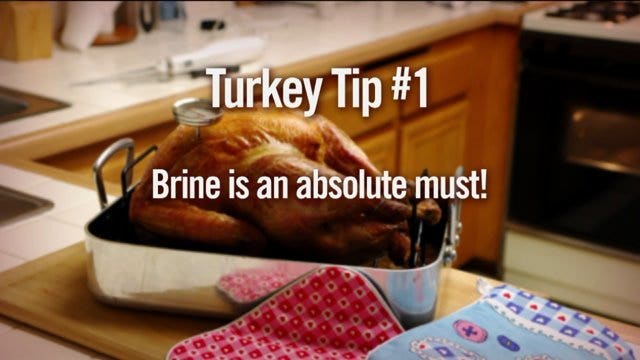 Cooking this Thanksgiving? Everything you need to know about creating a tasty turkey