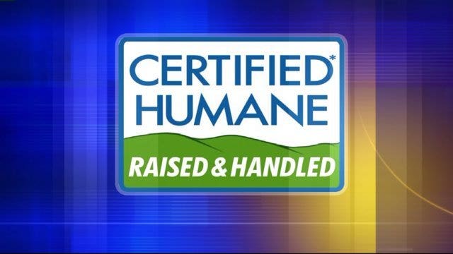 Hosting Thanksgiving and looking to pick the perfect turkey? Label buzzwords to avoid