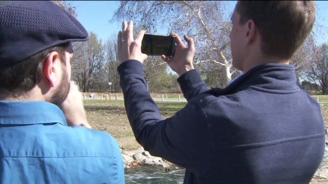 9 easy ways to take better smartphone pictures