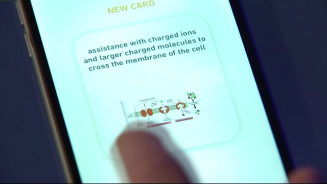 Apps to know: Have some fun with your hair color, learn math and use flashcards