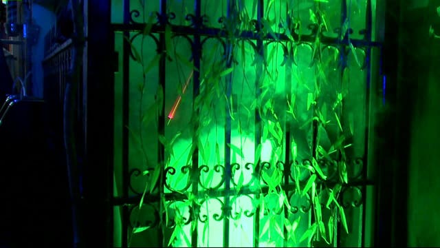 This local spot completely transforms to celebrate the opening of the new Star Wars movie