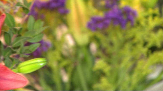 4 apps to deliver the perfect Valentine’s Day