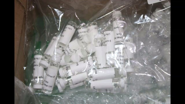 Customs officials at LAX seize fake COVID-19 test kits