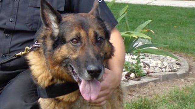 Milwaukee Co. Sheriff's Dept. service K-9 euthanized