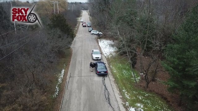 'Very prolific robbery crew that we caught:' MPD nabs 3 suspects allegedly tied up to 30 crimes