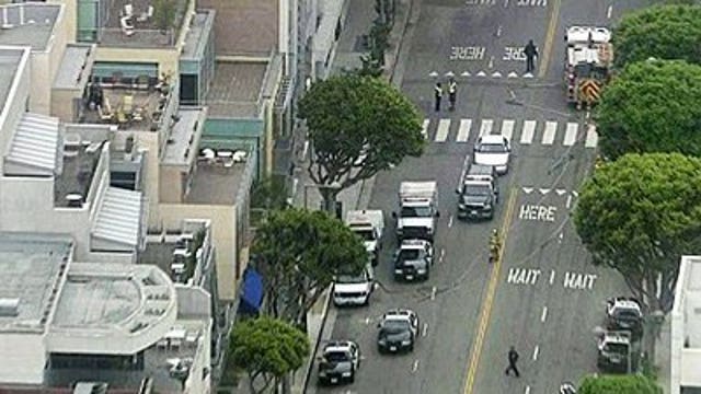 Mountain lion shot dead in Santa Monica, California