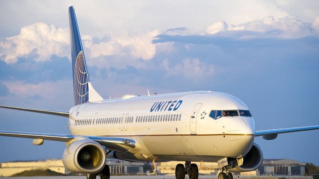 United flight delayed after 'scorpion reportedly emerged from a customer's clothing'