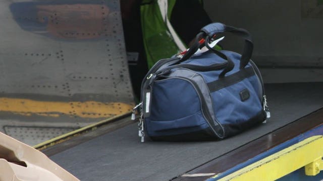 Baggage handler trapped in cargo hold during flight