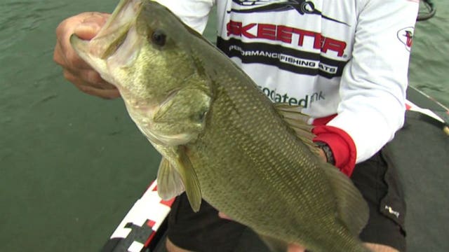 Achieving that work-life balance: Milwaukee police officer has found serious success in bass fishing