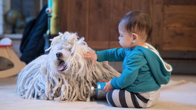 Mark Zuckerberg's daughter said her first word, and the Facebook post is adorable