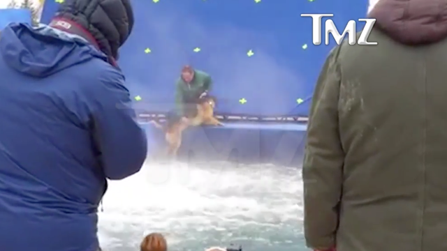 Movie ‘A Dog’s Purpose’ under fire after TMZ publishes leaked video of German shepherd