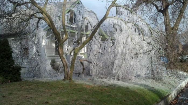 Why you should check your sprinklers during freezing weather