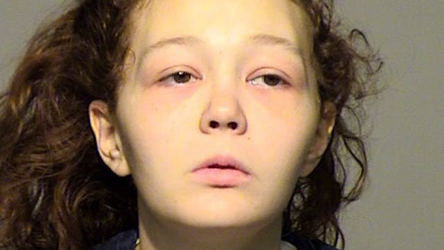 Milwaukee woman accused of stealing Chihuahua puppy pleads not guilty