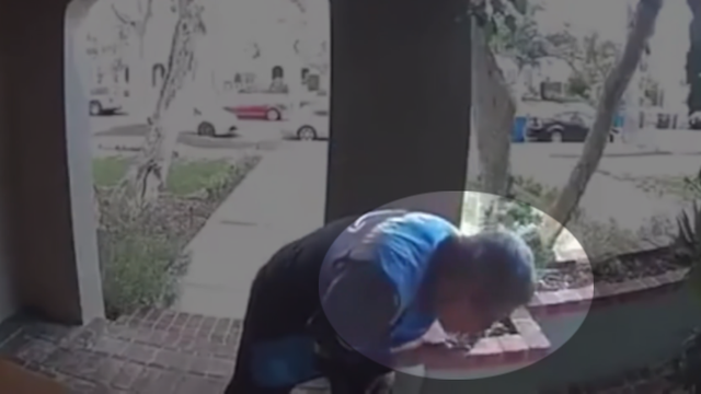 'It's horrifying:' Amazon delivery driver caught on video spitting on package